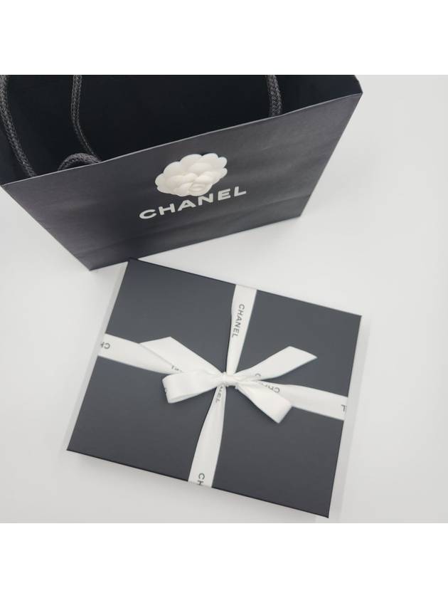 Chanel Clutch gold bag – front view